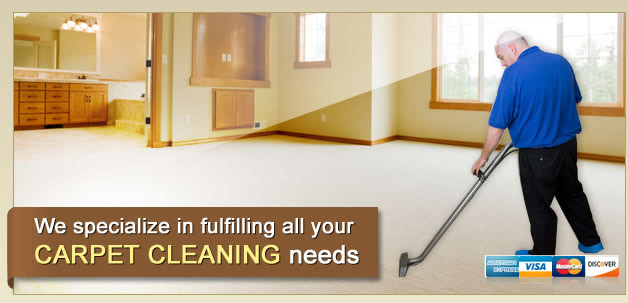 Littleton Carpet Cleaning Experts 303
